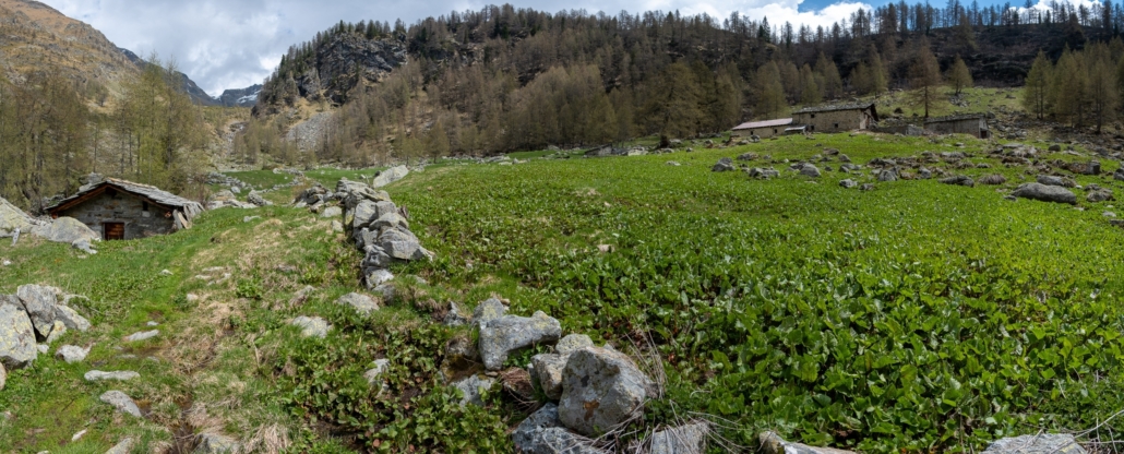 The lodges of lower Cialfrezzo (1900m), far up the Valdobbia pass